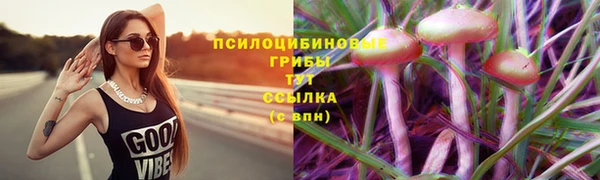 2c-b Алзамай