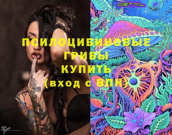марихуана Абаза
