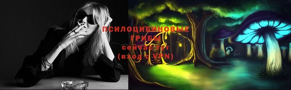 марихуана Абаза