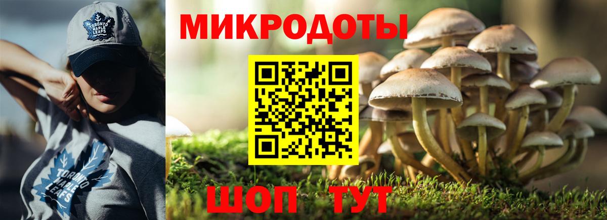 Батайск  Галлюциногенные грибы MAGIC MUSHROOMS  Вход с VPN 